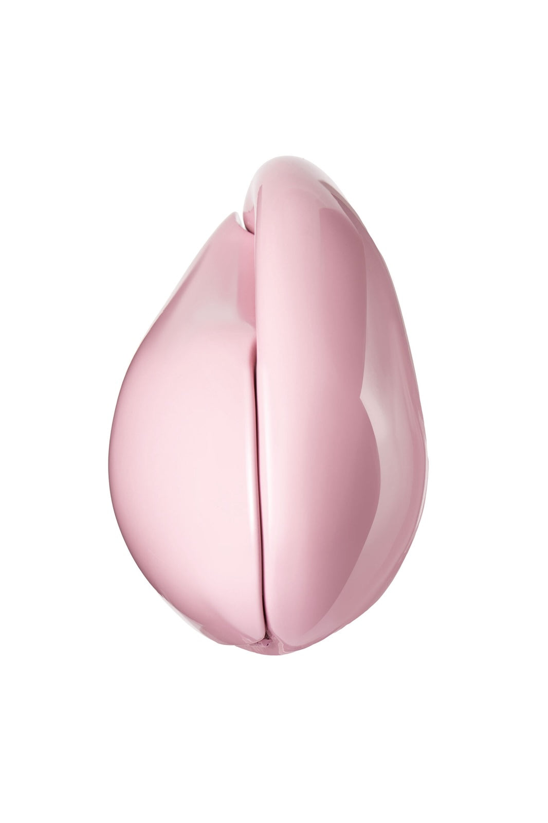 SMALL MOLLUSC CLUTCH