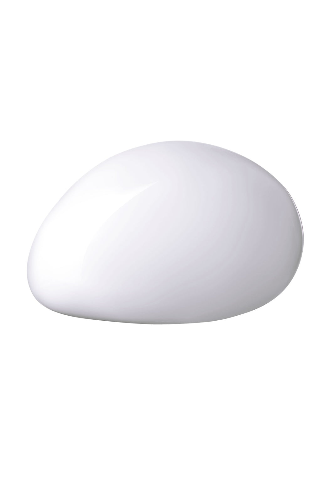 SMALL MOLLUSC CLUTCH