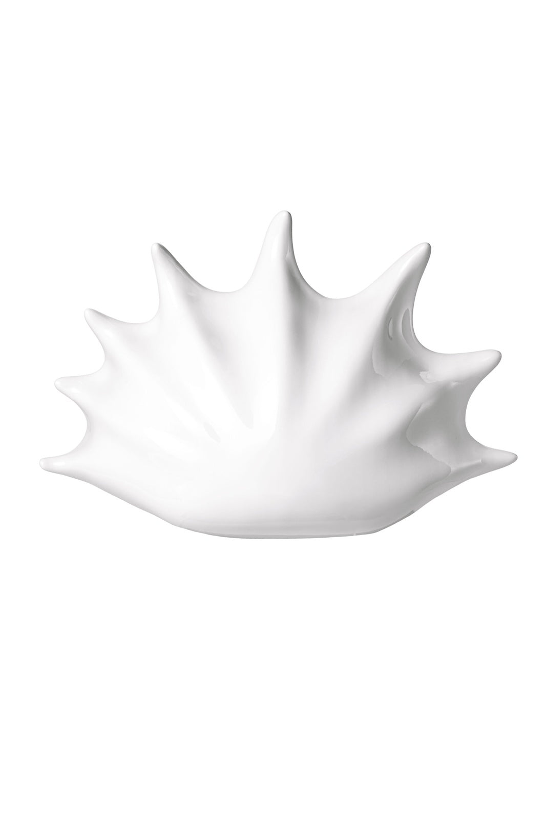 BIG SEASHELL CLUTCH